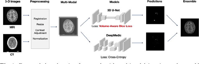 Figure 1 for Multimodal Volume-Aware Detection and Segmentation for Brain Metastases Radiosurgery