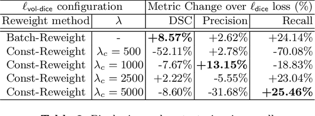 Figure 2 for Multimodal Volume-Aware Detection and Segmentation for Brain Metastases Radiosurgery