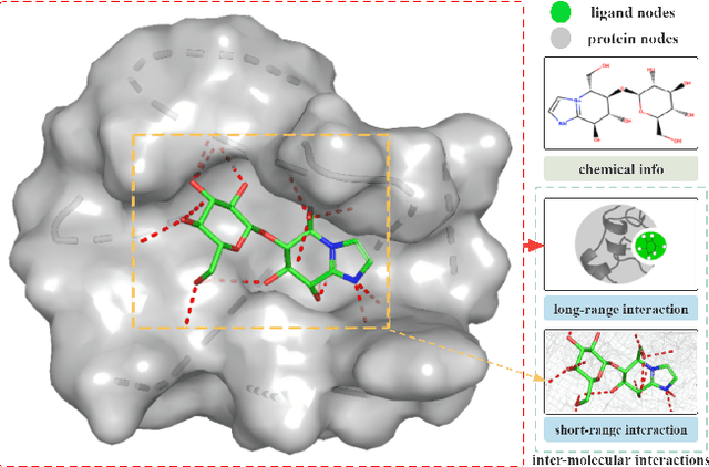 Figure 1 for Predicting Protein-Ligand Binding Affinity via Joint Global-Local Interaction Modeling