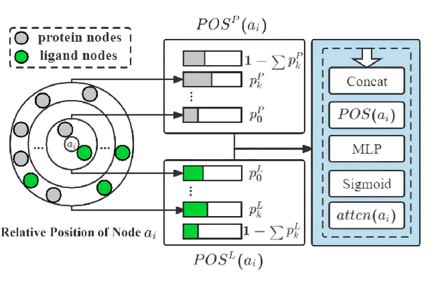 Figure 3 for Predicting Protein-Ligand Binding Affinity via Joint Global-Local Interaction Modeling