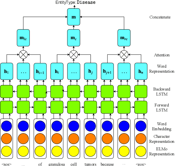 Figure 3 for HAMNER: Headword Amplified Multi-span Distantly Supervised Method for Domain Specific Named Entity Recognition