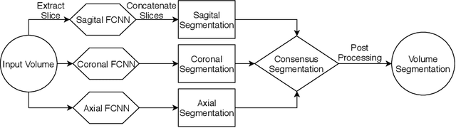 Figure 3 for Extended 2D Volumetric Consensus Hippocampus Segmentation