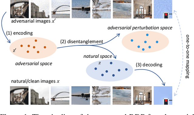 Figure 1 for Adversarial Purification through Representation Disentanglement