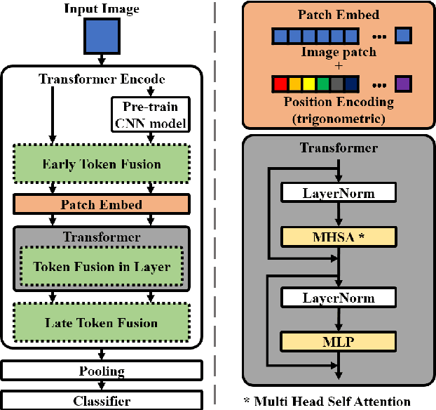 Figure 1 for Improved Image Classification with Token Fusion