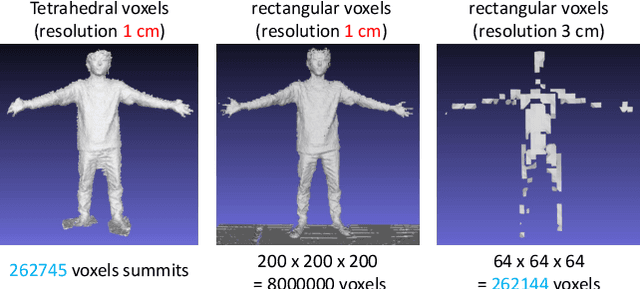 Figure 3 for TetraTSDF: 3D human reconstruction from a single image with a tetrahedral outer shell