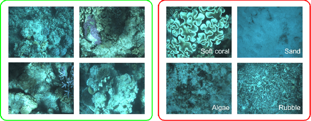 Figure 4 for Reconfigurable Robots for Scaling Reef Restoration