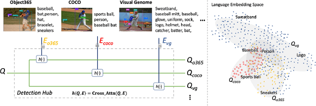 Figure 1 for Detection Hub: Unifying Object Detection Datasets via Query Adaptation on Language Embedding