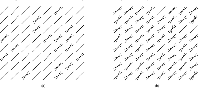 Figure 4 for A New Approach in MRI Signal Processing for Detecting the Axonal Organization of the Brain