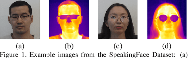 Figure 1 for Fairness on Synthetic Visual and Thermal Mask Images