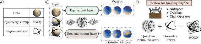 Figure 1 for Theory for Equivariant Quantum Neural Networks