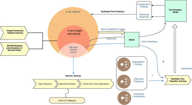 Figure 1 for PadChest: A large chest x-ray image dataset with multi-label annotated reports