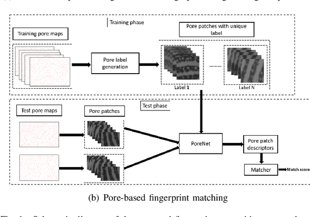 Figure 1 for PoreNet: CNN-based Pore Descriptor for High-resolution Fingerprint Recognition