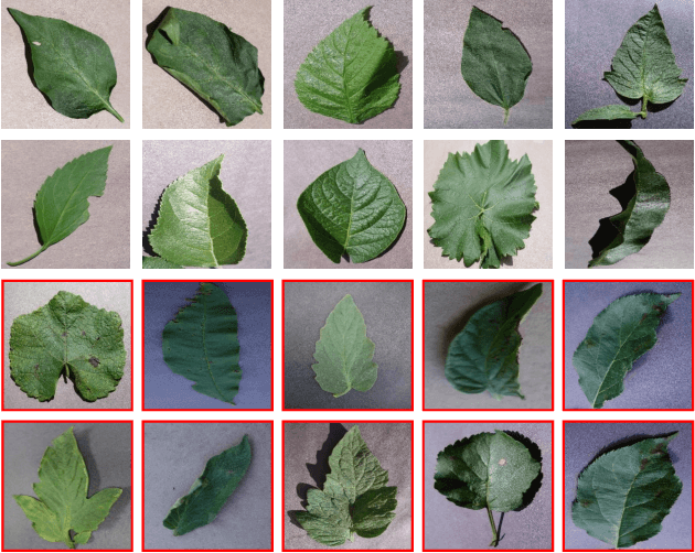 Figure 3 for Y-GAN: Learning Dual Data Representations for Efficient Anomaly Detection