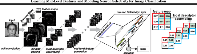 Figure 1 for Learning Mid-Level Features and Modeling Neuron Selectivity for Image Classification