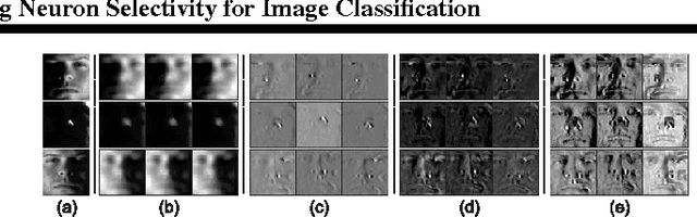 Figure 3 for Learning Mid-Level Features and Modeling Neuron Selectivity for Image Classification