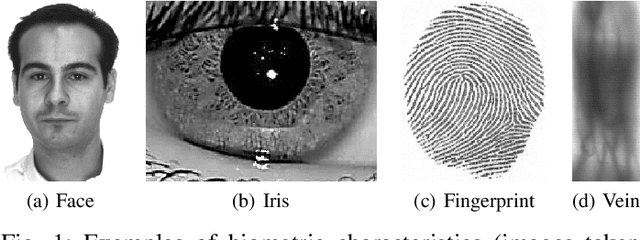 Figure 1 for Demographic Bias in Biometrics: A Survey on an Emerging Challenge