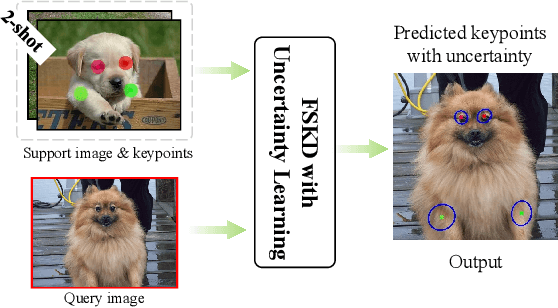 Figure 1 for Few-shot Keypoint Detection with Uncertainty Learning for Unseen Species