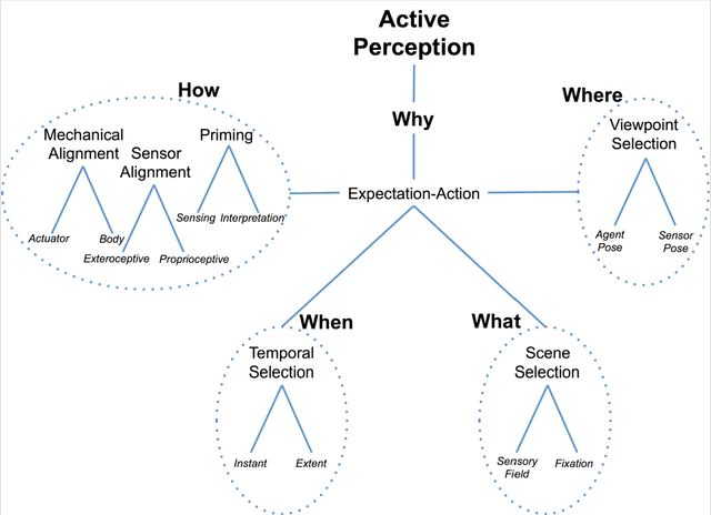 Figure 2 for Revisiting Active Perception