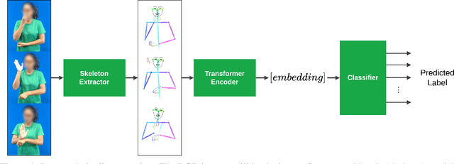 Figure 1 for A Transformer-Based Contrastive Learning Approach for Few-Shot Sign Language Recognition