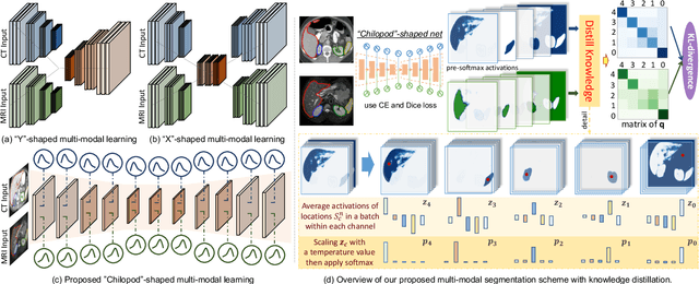 Figure 1 for Unpaired Multi-modal Segmentation via Knowledge Distillation