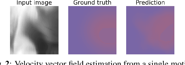 Figure 3 for Estimating Nonplanar Flow from 2D Motion-blurred Widefield Microscopy Images via Deep Learning