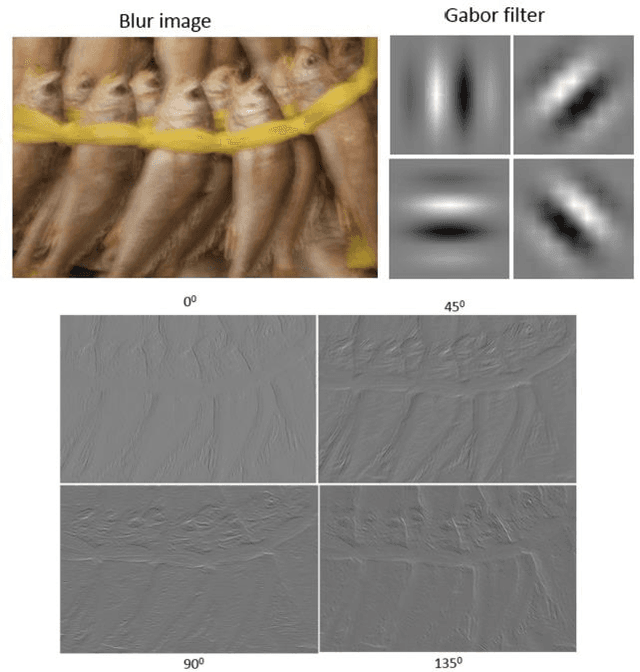 Figure 2 for Blind Deconvolution Method using Omnidirectional Gabor Filter-based Edge Information