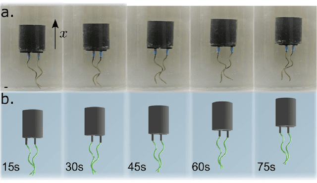 Figure 1 for Bacteria Inspired Multi-Flagella Propelled Soft Robot at Low Reynolds Number