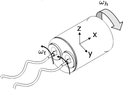 Figure 4 for Bacteria Inspired Multi-Flagella Propelled Soft Robot at Low Reynolds Number