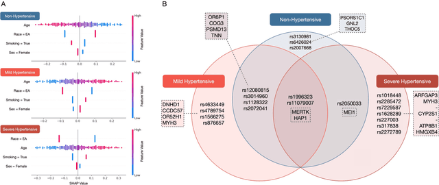 Figure 1 for SNPs Filtered by Allele Frequency Improve the Prediction of Hypertension Subtypes