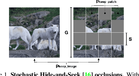 Figure 1 for Occlusions for Effective Data Augmentation in Image Classification
