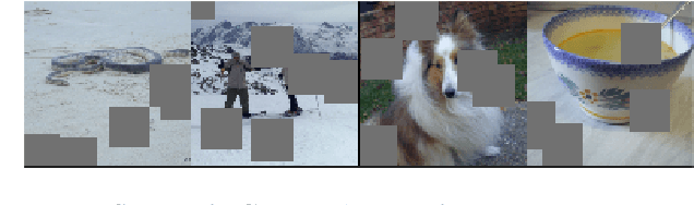 Figure 3 for Occlusions for Effective Data Augmentation in Image Classification