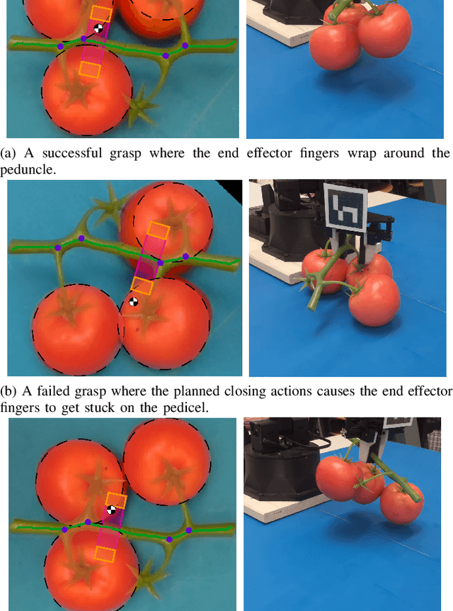 Figure 4 for Geometry-Based Grasping of Vine Tomatoes