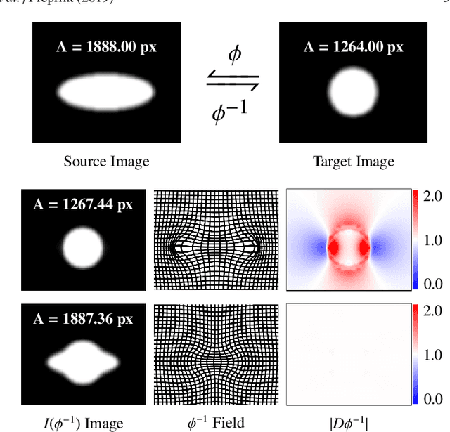 Figure 3 for Learning Multiparametric Biomarkers for Assessing MR-Guided Focused Ultrasound Treatments Using Volume-Conserving Registration