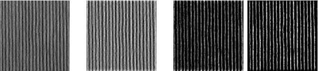 Figure 2 for Improving Texture Categorization with Biologically Inspired Filtering