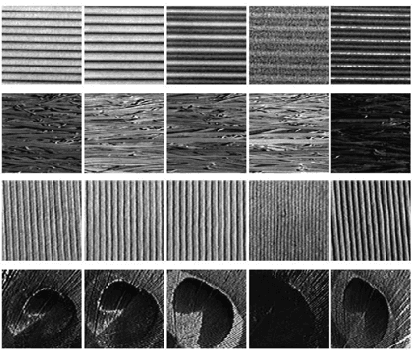 Figure 4 for Improving Texture Categorization with Biologically Inspired Filtering