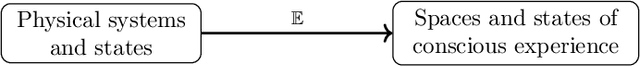 Figure 1 for The Mathematical Structure of Integrated Information Theory