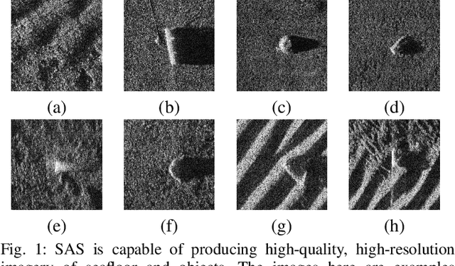 Figure 1 for Structural Prior Driven Regularized Deep Learning for Sonar Image Classification
