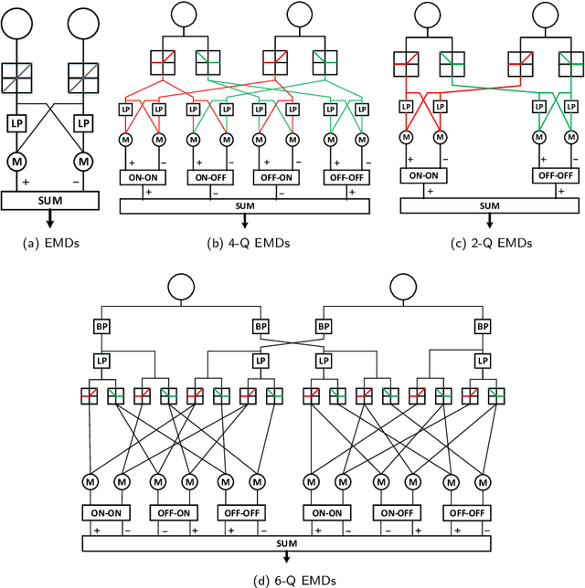 Figure 3 for Modelling Drosophila Motion Vision Pathways for Decoding the Direction of Translating Objects Against Cluttered Moving Backgrounds