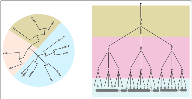 Figure 2 for Locally Epistatic Models for Genome-wide Prediction and Association by Importance Sampling