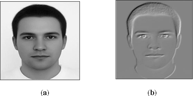 Figure 2 for Face Verification System based on Integral Normalized Gradient Image(INGI)