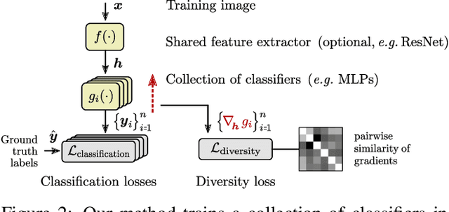 Figure 3 for Evading the Simplicity Bias: Training a Diverse Set of Models Discovers Solutions with Superior OOD Generalization
