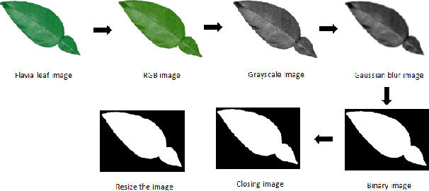 Figure 1 for Computer-aided Interpretable Features for Leaf Image Classification