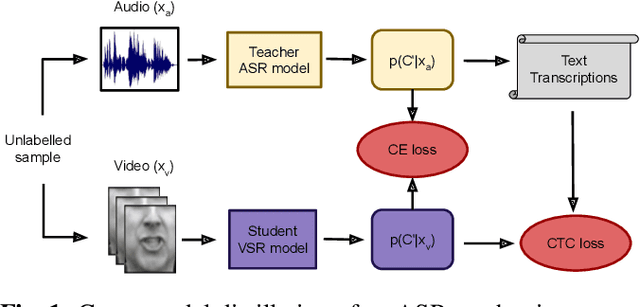 Figure 1 for ASR is all you need: cross-modal distillation for lip reading