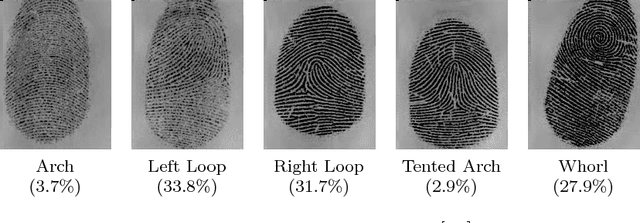 Figure 1 for On the use of convolutional neural networks for robust classification of multiple fingerprint captures