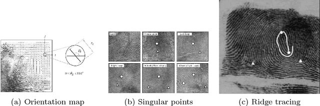Figure 3 for On the use of convolutional neural networks for robust classification of multiple fingerprint captures