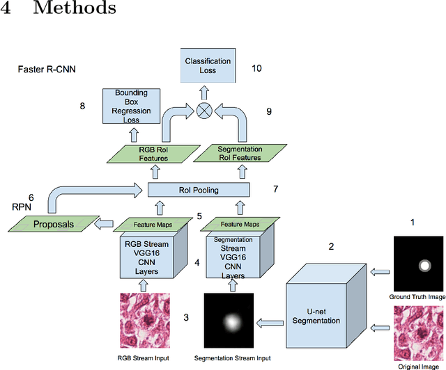 Figure 1 for Multi-stream Faster RCNN for Mitosis Counting in Breast Cancer Images