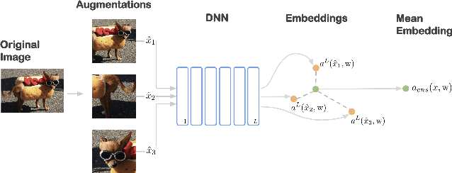 Figure 1 for Mean Embeddings with Test-Time Data Augmentation for Ensembling of Representations