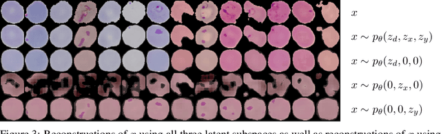 Figure 4 for DIVA: Domain Invariant Variational Autoencoders