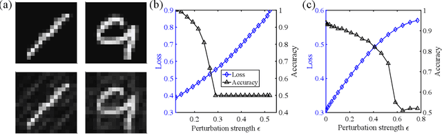 Figure 3 for Universal Adversarial Examples and Perturbations for Quantum Classifiers