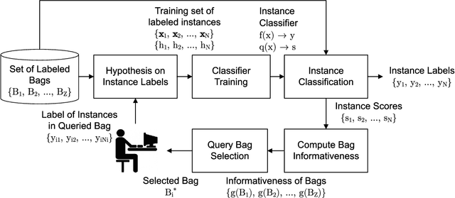 Figure 1 for Bag-Level Aggregation for Multiple Instance Active Learning in Instance Classification Problems
